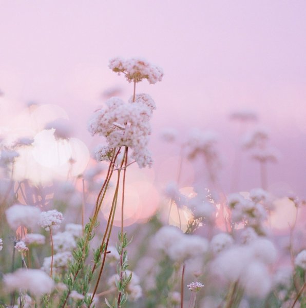 Пейзаж в пастельныхттонах