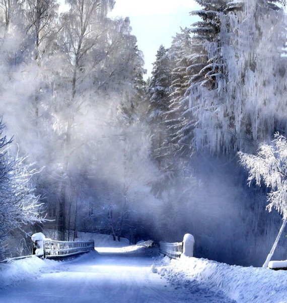 Волшебная зимняя природа