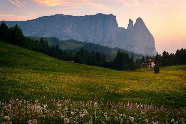 Картина "Альпийский пейзаж с домом" Оскар Муллей