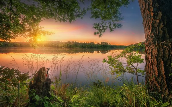 Природа вечер