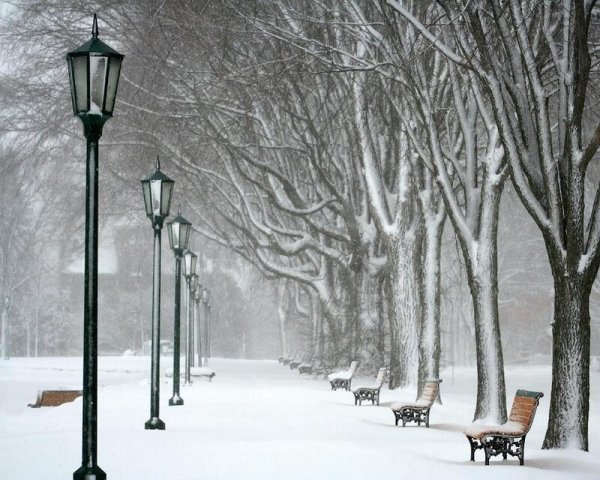 Зимний парк с фонарями