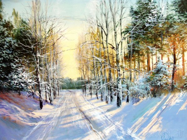 Лес перспектива