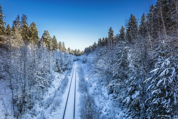 Художник Александр Болотов Сумерки картины