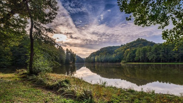 Озеро в лесу