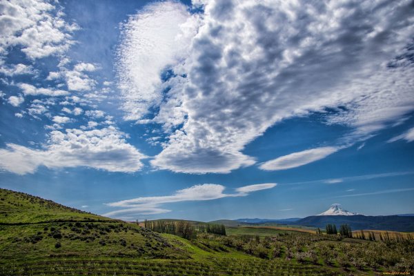 Небо с облаками