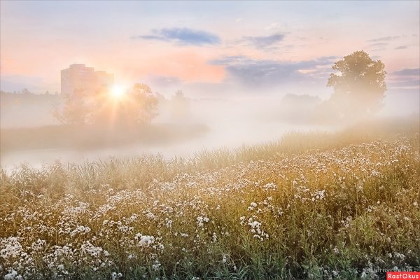 Светлый пейзаж
