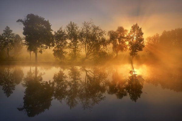 Туманный пейзаж