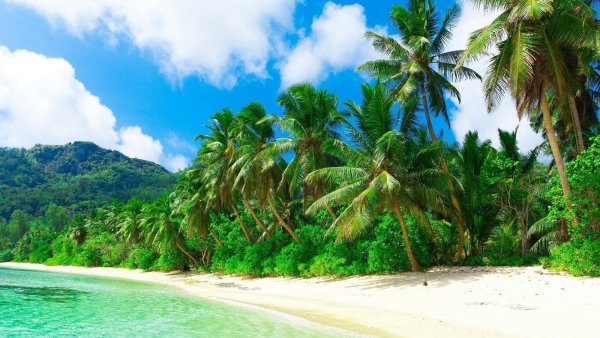 Ансе Лацио пляж Сейшелы