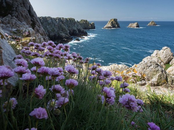 Остров капри город Анакапри