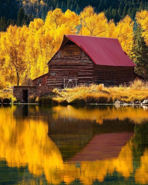 Сериал дом у реки (River Cottage)