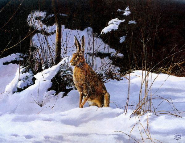 Картина зайцы в зимнем лесу