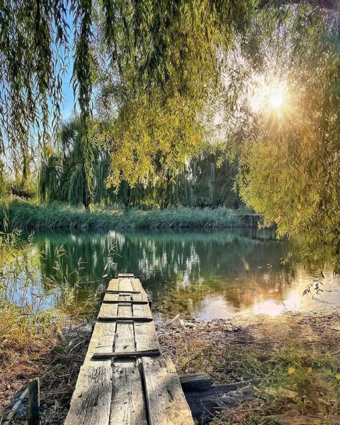 Красивые пейзажи Ростовской области