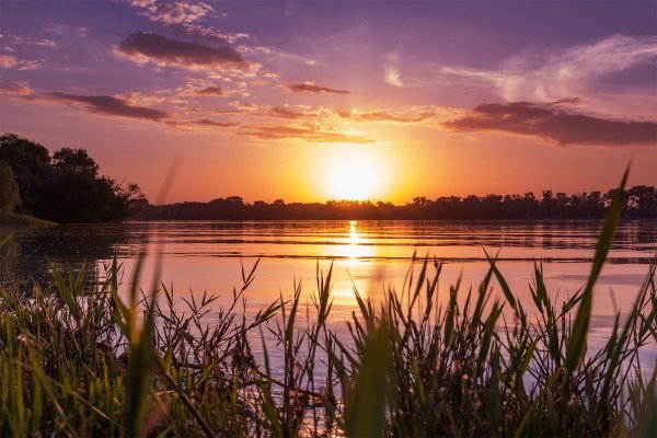 Природа Ростовской области Дон