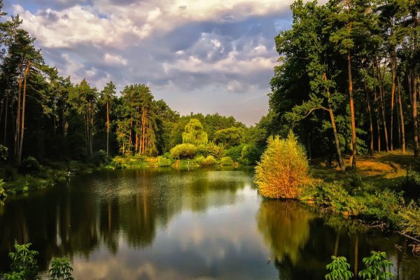 Русская природа