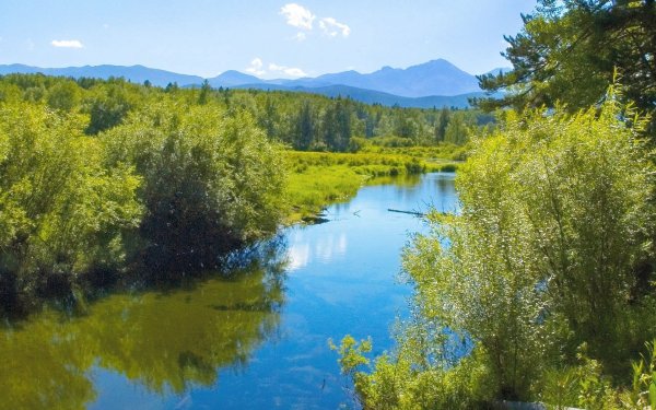 Алтайский край река Тайга