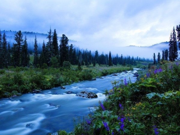 Айдахо США природа