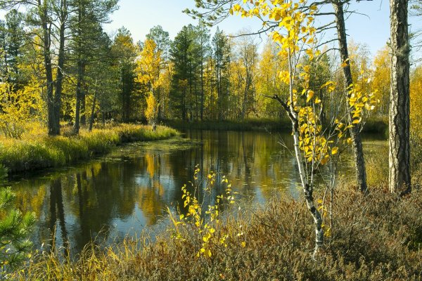 Озеро светлое Ергаки