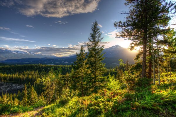 Уральские горы Тайга