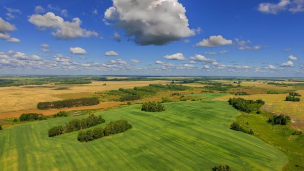Равнины Ростовской области