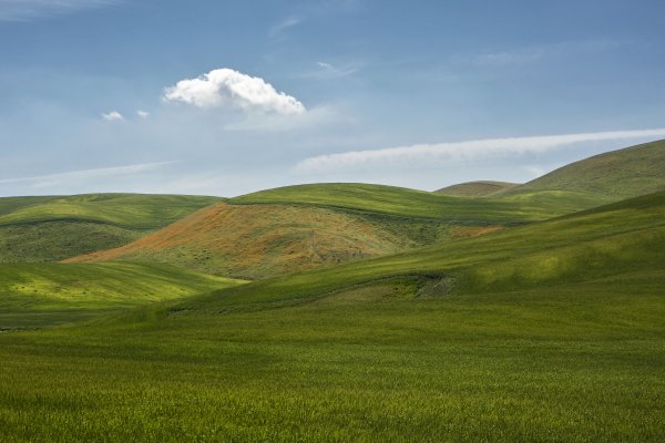 Агинская степь