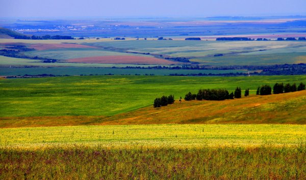 Степь, лесостепь, Алтая