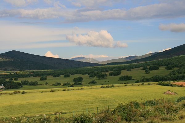Прикубанская низменность