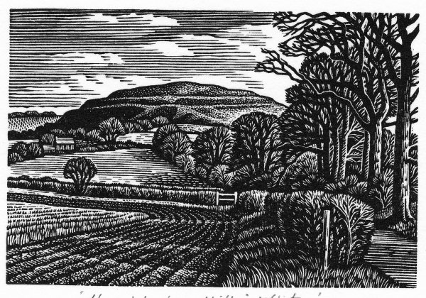 Ксилография (продольная и торцовая гравюра)