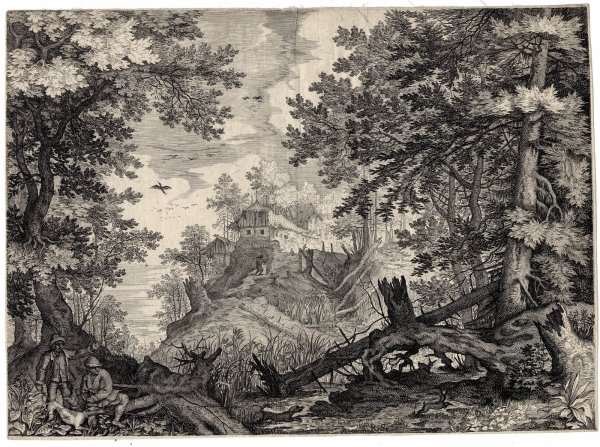 Рулант Саверей Ковчег ноя, 1628