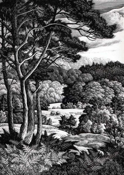 Гравюра Ксилография