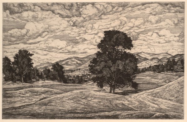 Офорт Канелли картина