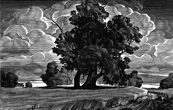 Линогравюра-Пушкинские горы художник Васильев