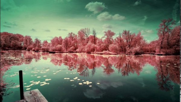 Красивые необычные пейзажи