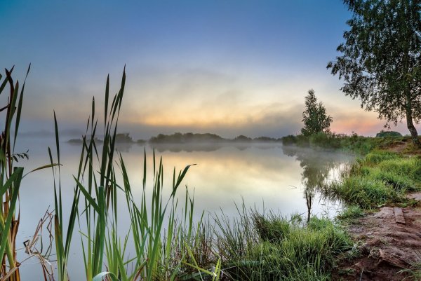 Тишина природы