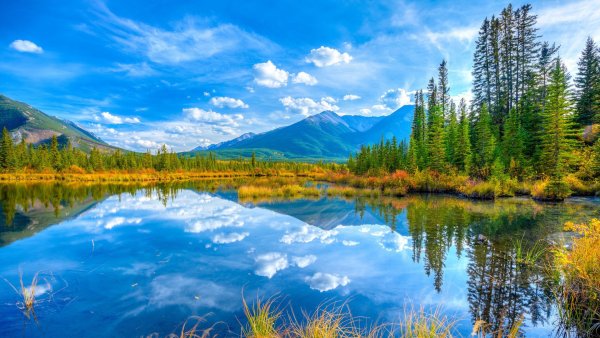 Природа озеро