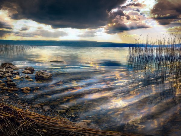 Спокойный пейзаж