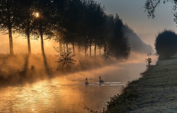 Рассвет туман