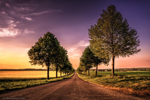 Пейзаж с дорогой