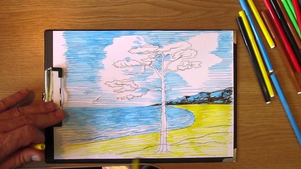 Рисунки цветными карандашами природа