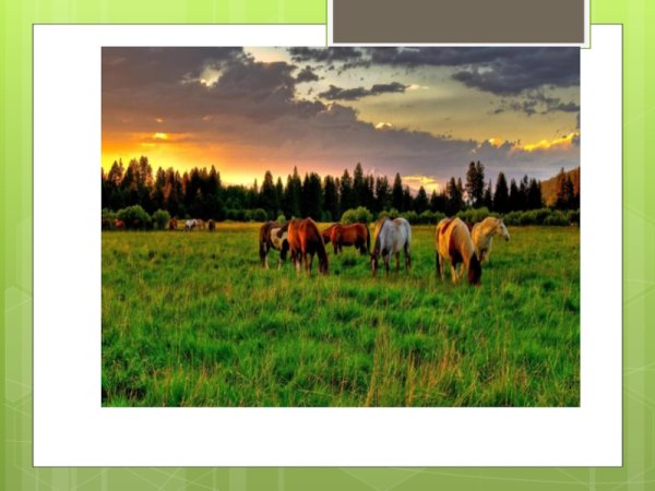 Бежин луг пейзажные зарисовки