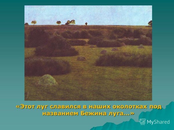 Пейзаж к произведению Бежин луг Тургенева