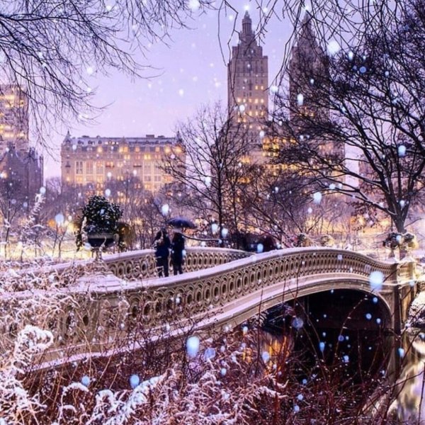 Центральный парк Нью-Йорк зимой