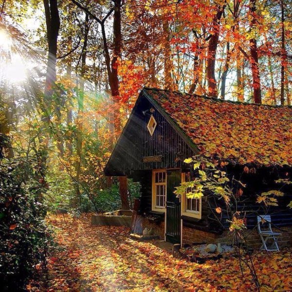 Домик в лесу