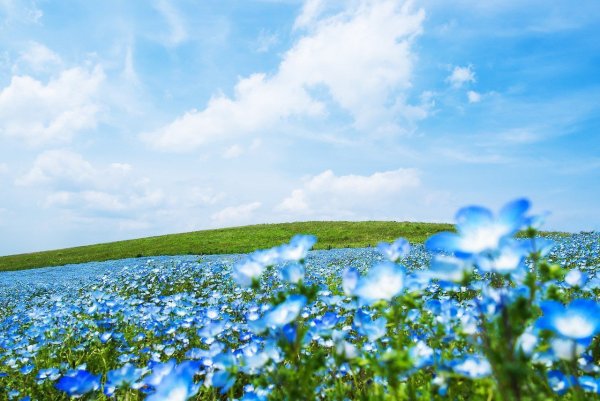 Голубая река в горах