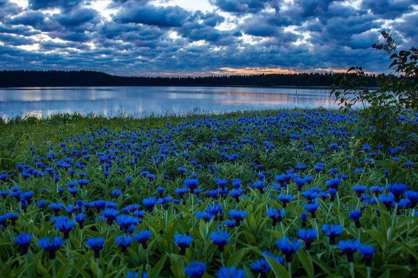 Река Вьюнок