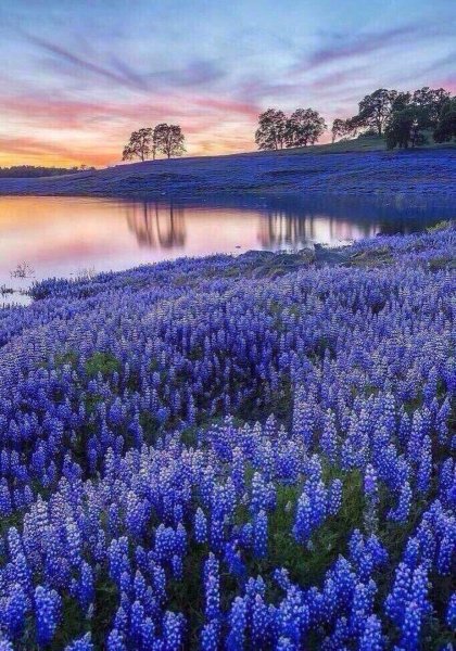 Спокойная природа