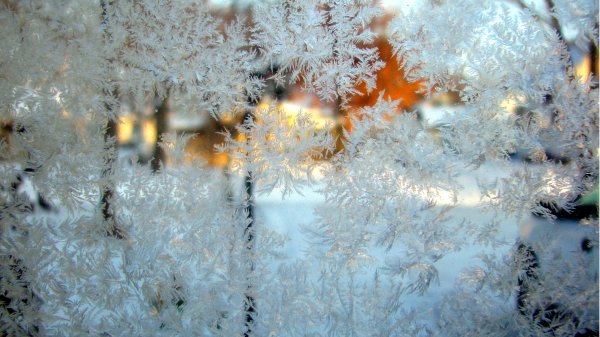 Иней на окне фото