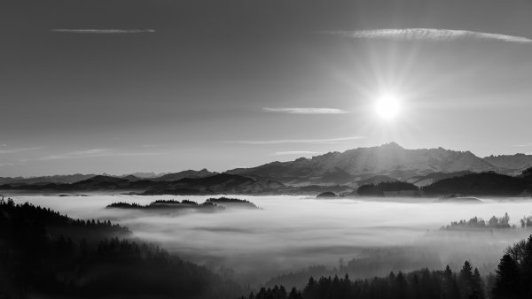 Закат черно белый