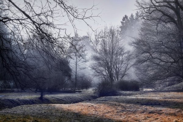 Поздняя осень туман