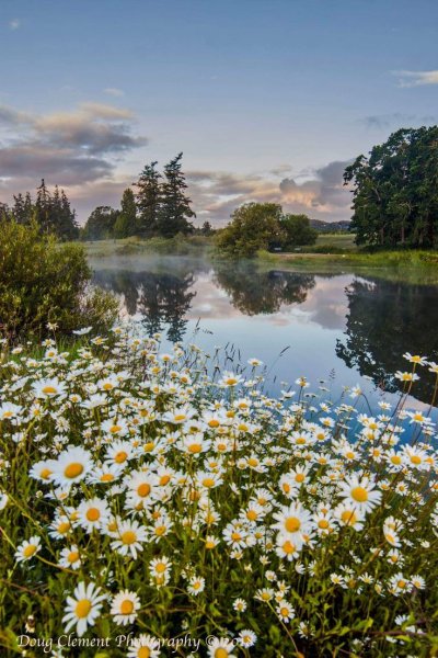 Красивые летние пейзажи