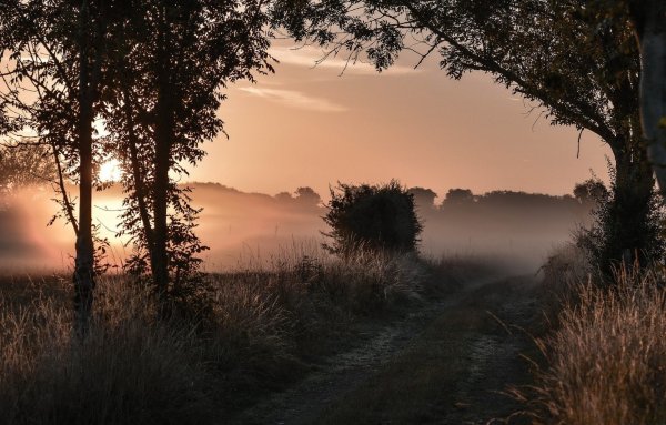 Эстетика природы горы